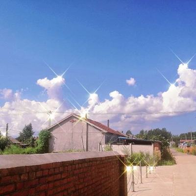 九州飞凰录网易官方版下载